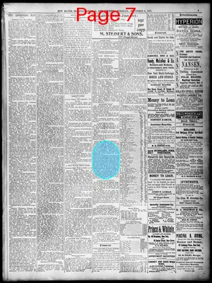 Page thumbnail for The Daily Morning Journal And Courier