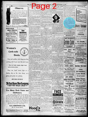 Page thumbnail for The Daily Morning Journal And Courier