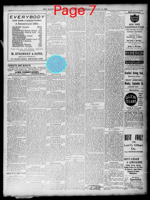 Page thumbnail for The Daily Morning Journal And Courier
