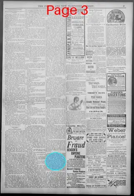 Page thumbnail for The People And New Hampshire Patriot
