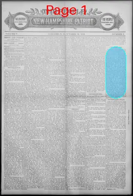 Page thumbnail for The People And New Hampshire Patriot