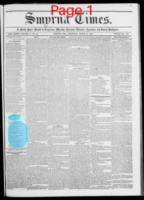 Page thumbnail for Smyrna Times