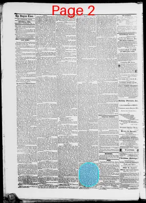 Page thumbnail for Smyrna Times