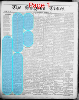 Page thumbnail for Smyrna Times