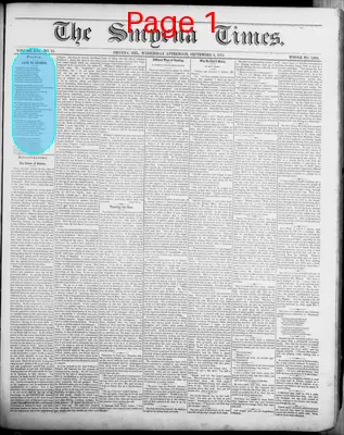Page thumbnail for Smyrna Times