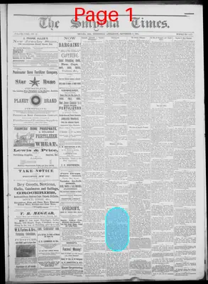 Page thumbnail for Smyrna Times