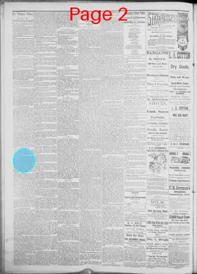 Page thumbnail for Smyrna Times
