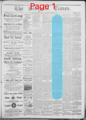 Page thumbnail for Smyrna Times