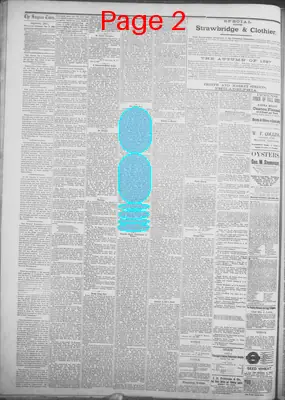 Page thumbnail for Smyrna Times