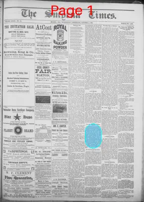 Page thumbnail for Smyrna Times