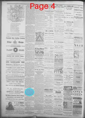 Page thumbnail for Smyrna Times