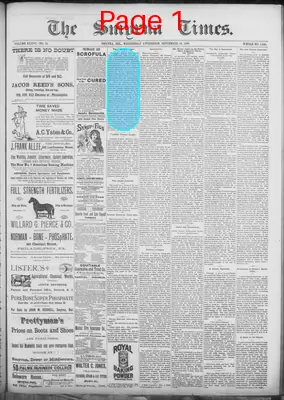 Page thumbnail for Smyrna Times