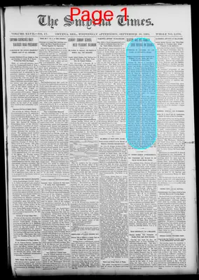 Page thumbnail for Smyrna Times