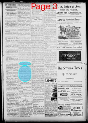 Page thumbnail for Smyrna Times