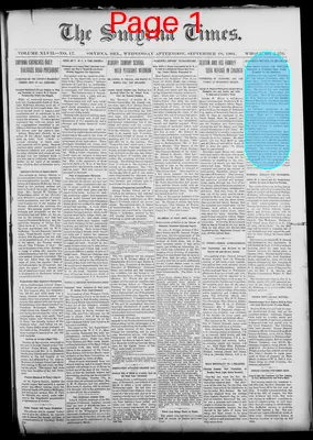 Page thumbnail for Smyrna Times