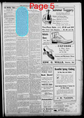 Page thumbnail for Smyrna Times