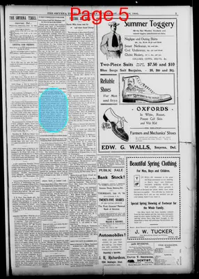 Page thumbnail for Smyrna Times