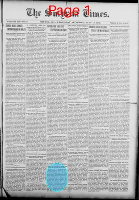 Page thumbnail for Smyrna Times