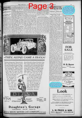 Page thumbnail for Smyrna Times