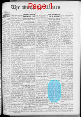 Page thumbnail for Smyrna Times