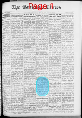 Page thumbnail for Smyrna Times