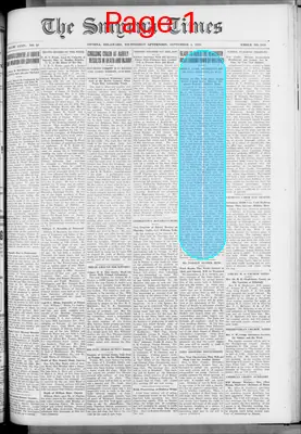 Page thumbnail for Smyrna Times
