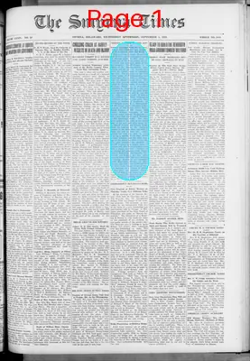 Page thumbnail for Smyrna Times
