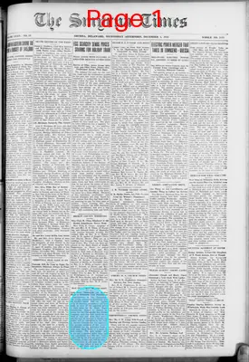 Page thumbnail for Smyrna Times