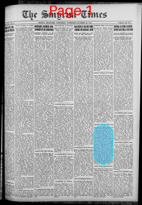 Page thumbnail for Smyrna Times