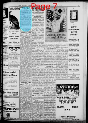 Page thumbnail for Smyrna Times