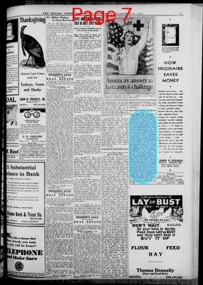 Page thumbnail for Smyrna Times