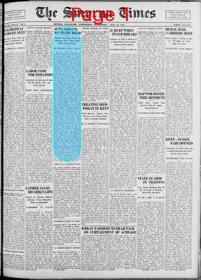 Page thumbnail for Smyrna Times