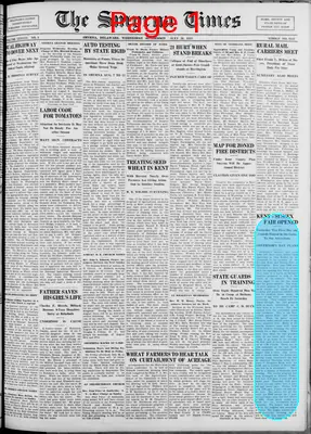 Page thumbnail for Smyrna Times