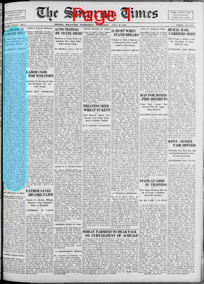Page thumbnail for Smyrna Times