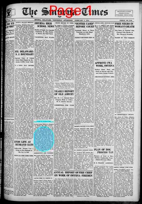 Page thumbnail for Smyrna Times