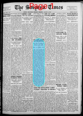 Page thumbnail for Smyrna Times