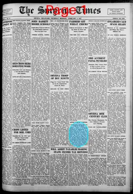 Page thumbnail for Smyrna Times