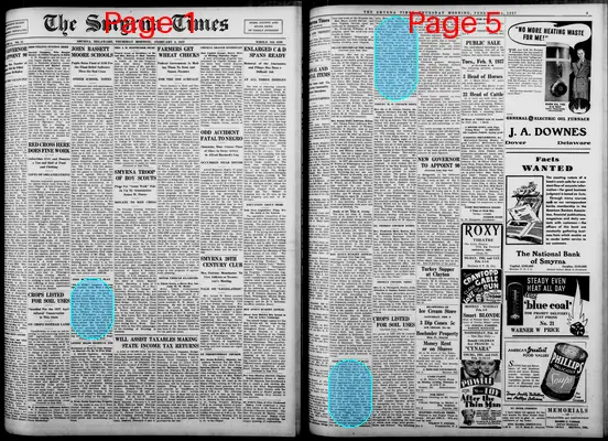 Page thumbnail for Smyrna Times