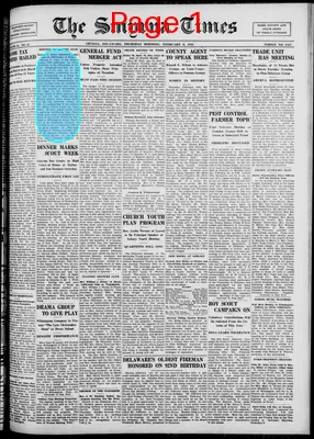 Page thumbnail for Smyrna Times