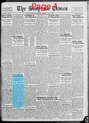 Page thumbnail for Smyrna Times