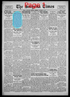 Page thumbnail for Smyrna Times