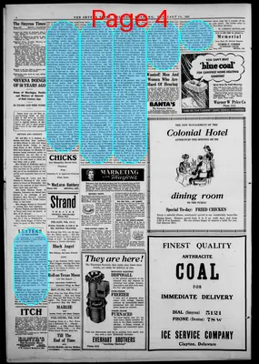 Page thumbnail for Smyrna Times