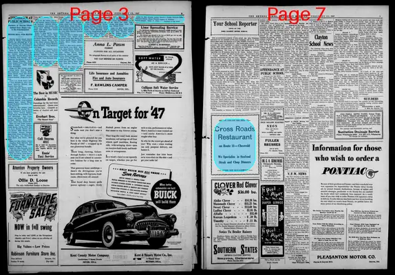 Page thumbnail for Smyrna Times