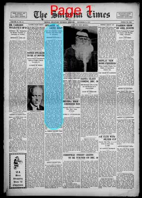 Page thumbnail for Smyrna Times