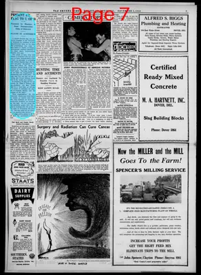 Page thumbnail for Smyrna Times