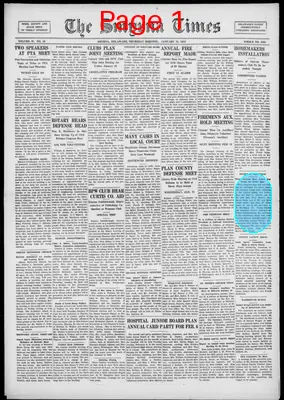Page thumbnail for Smyrna Times