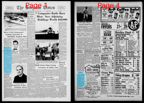 Page thumbnail for Smyrna Times