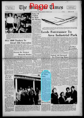 Page thumbnail for Smyrna Times