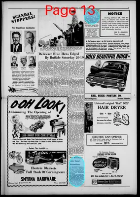 Page thumbnail for Smyrna Times