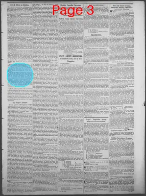 Page thumbnail for The People's Advocate